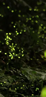 Magical forest with glowing fireflies at night.