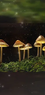 Glowing mushrooms in dark forest, mobile wallpaper.