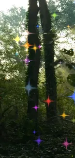 Magical forest with sparkling lights and tall trees.