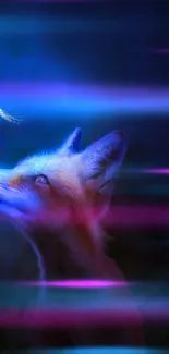 Fox looks at glowing blue light in darkness.