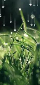 Magical grass and stars wallpaper for mobile.