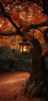 Glowing lantern hanging on an autumn tree with vibrant orange leaves.