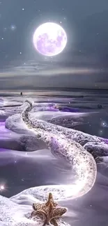 Path under a full moon with purple glow on icy stones.