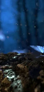 Glowing blue butterflies over rocks in a dark, serene night forest.