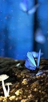 Magical night scene with blue butterflies in a forest setting.