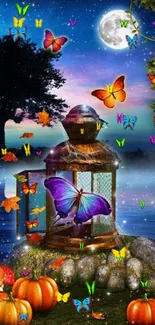 Magical lantern surrounded by butterflies and pumpkins under a starry night sky.