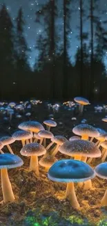 Glowing mushrooms under a starry night sky in a mystical forest scene.