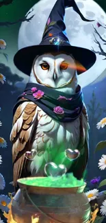 Mystical owl wearing a hat in an enchanted forest with cauldron and full moon.