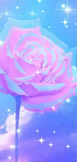 Magical pink rose against a dreamy sky backdrop.