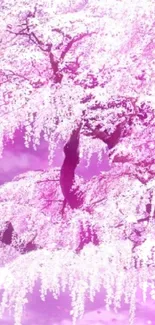 Pink cherry blossom tree under a twilight sky with petals falling.