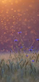 Sunset-lit flower field with magical glow.