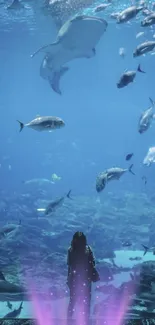 Woman in an aquarium, surrounded by fish and a large stingray.