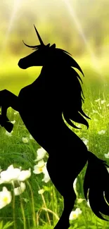 Black unicorn silhouetted against a blooming green meadow.