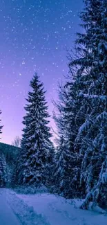 Snowy forest at night with a starry sky and a purple hue.