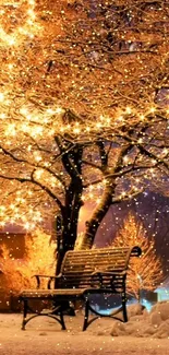 Winter night with glowing tree lights and a snowy bench.