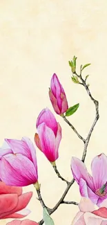 Elegant mobile wallpaper featuring magnolia blossoms with a soft cream background.