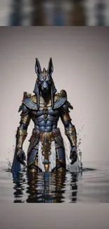 Epic Anubis-themed wallpaper with Egyptian mythological elements.