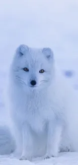Beautiful Arctic Fox sitting in snow with serene winter background.