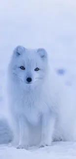 Majestic arctic fox sitting in snow, radiating winter serenity.