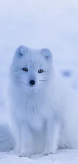 Majestic arctic fox sitting in snow, creating a serene and natural mobile wallpaper.