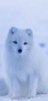 Majestic Arctic fox sitting on snow in serene winter background.