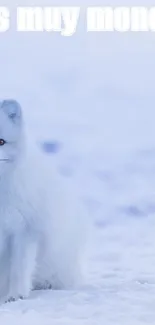 A serene Arctic fox in a snowy landscape with light blue tones.