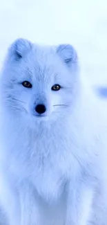 Majestic Arctic fox in a snowy landscape, creating a serene wallpaper.