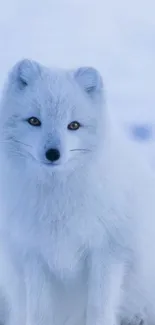 Majestic arctic fox sitting in snowy landscape, perfect for mobile wallpaper.