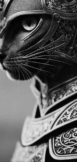 Armored cat in intricate armor, black and white art wallpaper.