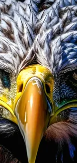 Close-up of a majestic bald eagle with striking details and intense gaze.