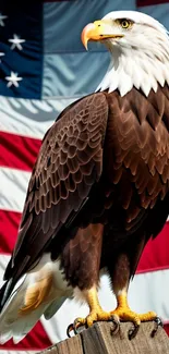 Bald eagle standing against the USA flag