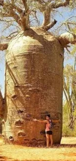 Majestic Baobab tree in a sunlit landscape with a person embracing it.