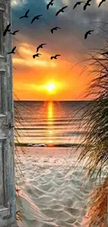 Beach sunset through open door with flying birds, creating a serene ocean view.