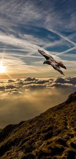 Majestic bird soaring over sunlit mountain range at sunrise.