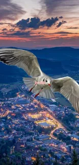 Bird flying over scenic cityscape at sunset.