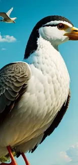 Majestic bird in the sky with another bird soaring above.