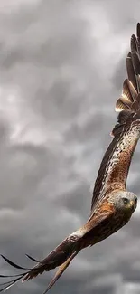 Majestic bird soaring through dramatic cloudy sky.