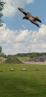 Bird soars above rural landscape with clouds and greenery.