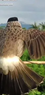 Bird with spread wings on a branch in nature.