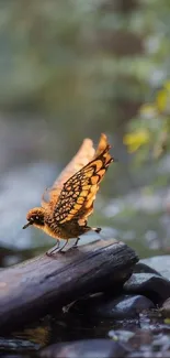 Majestic bird perched on a log with a scenic natural backdrop.