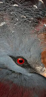 Close-up of a majestic bird with vibrant plumage and striking eyes.