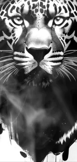 Black and white tiger with intense gaze on mobile wallpaper.