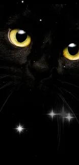 Majestic black cat with piercing yellow eyes in a dark-themed mobile wallpaper.