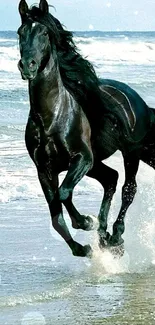 Black horse running along the beach with ocean waves.