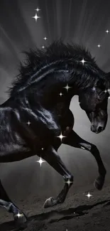 Black horse galloping with grace in a dynamic, dark setting.