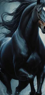 Majestic black horse in dynamic motion.