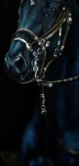 Majestic black horse portrait on dark background with intricate bridle.