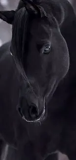 Majestic black horse in a snowy forest setting, mobile wallpaper.