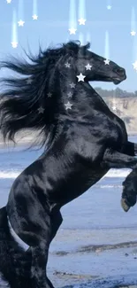 Black horse rearing on a starry beach.