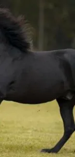 Majestic black horse galloping on a field, perfect for mobile wallpaper.